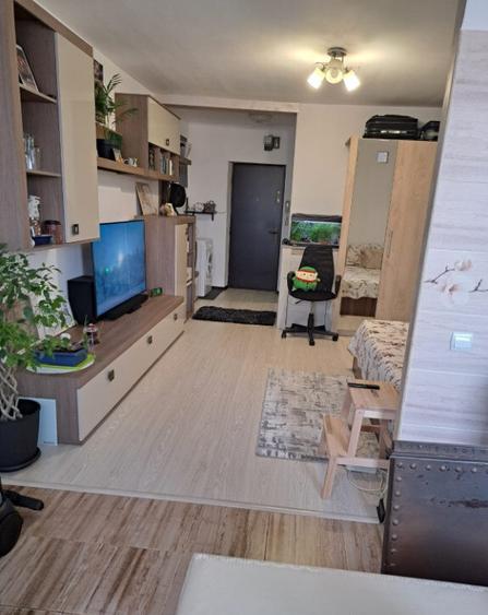 Dristor metrou, Kaufland - garsoniera de vanzare etaj 4/10 - 4