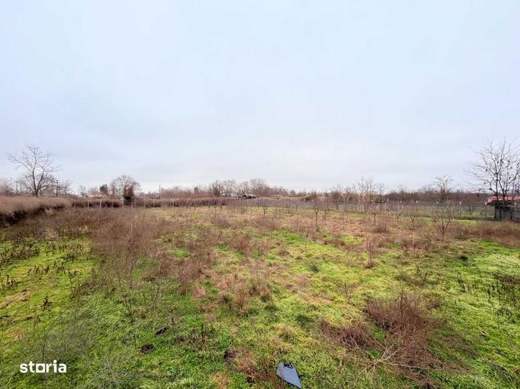 Casa cu Teren in Silistraru Braila - 3