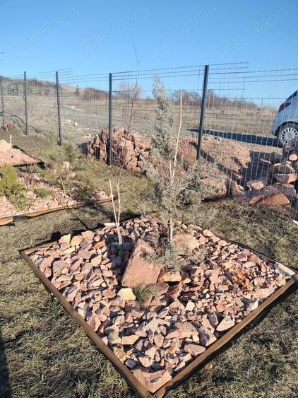 Ofer doritorilor gradina senzoriala de relaxare ?i stat in tihna, Cluj-Napoca - 3