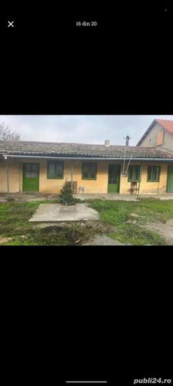 Casa de vinzare Peciu Nou - 9