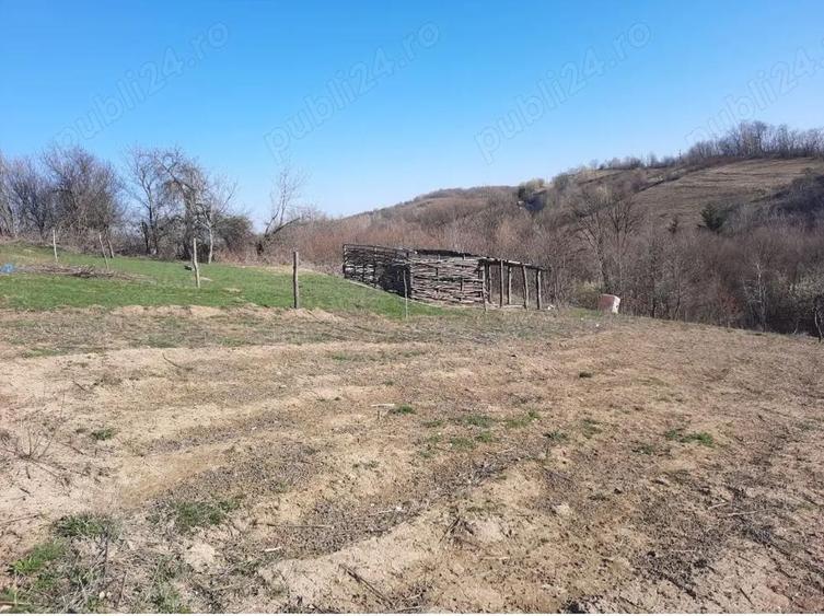 De vanzare casa la padure - 2