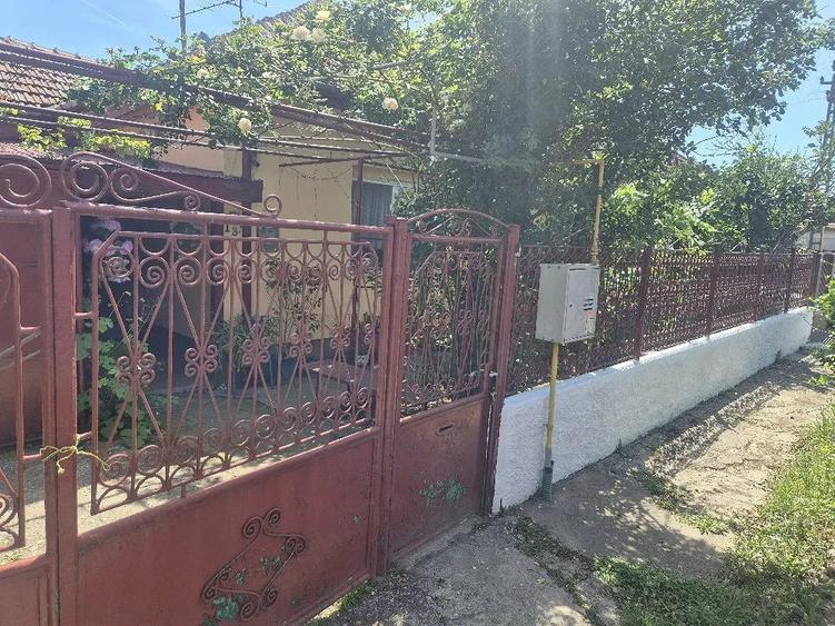 casa de vanzare in cartier plopi timisoara - 10