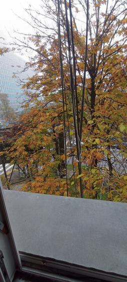 Apartament 2 camere pentru birou-firma zona Floreasca Parc-Compozitori - 7