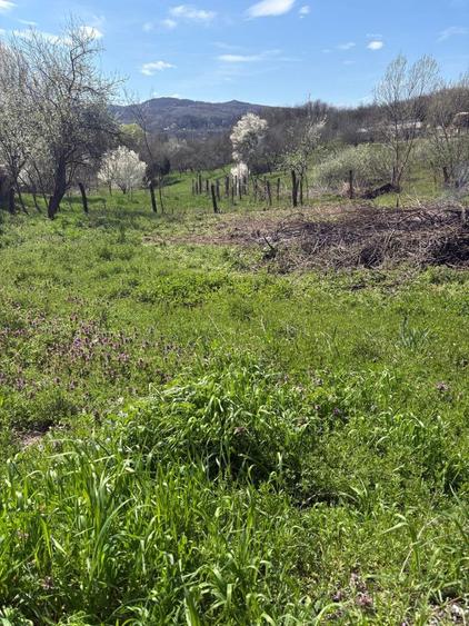 Teren Intravilan Pausesti-Maglasi, jud. Valcea - 6