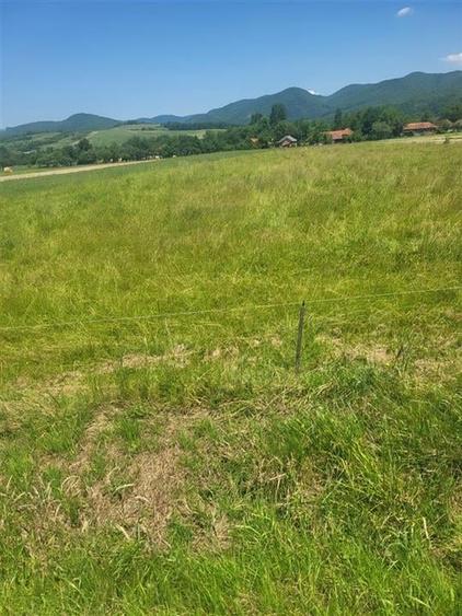 RECO , teren intravilan ,Zona Borod, Bihor - 4