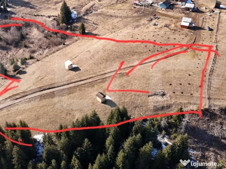 Teren ?aru Dornei, 3 ha extravilan - 1