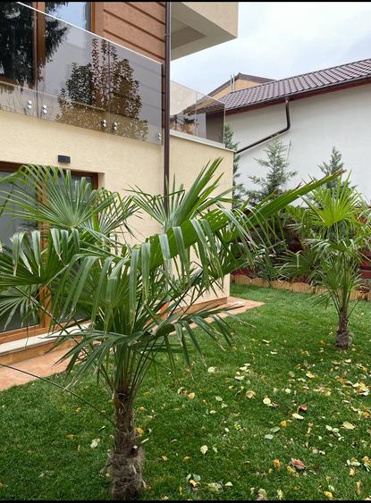 Comision 0/Apartament 3 camere/Curte proprie - 4