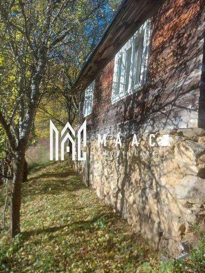 Super ofertă 35000 teren in Muntii Apuseni - 2