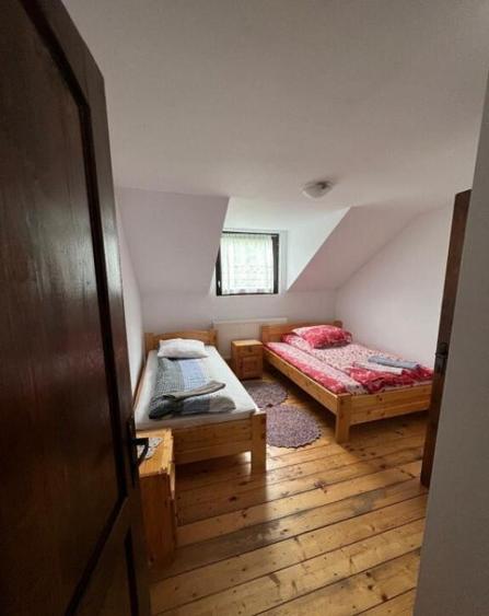 Cabana de 210mp, 2600 mp teren, in Rachitele - 4