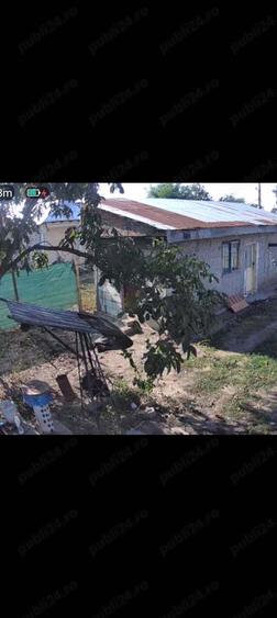 Casa de vanzare Baneasa - 7