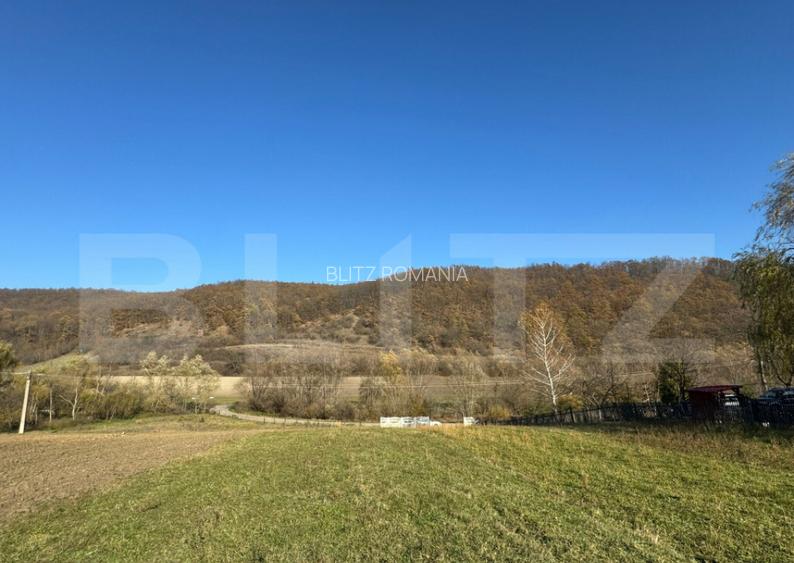 Teren extravilan 2700mp in Carjiti