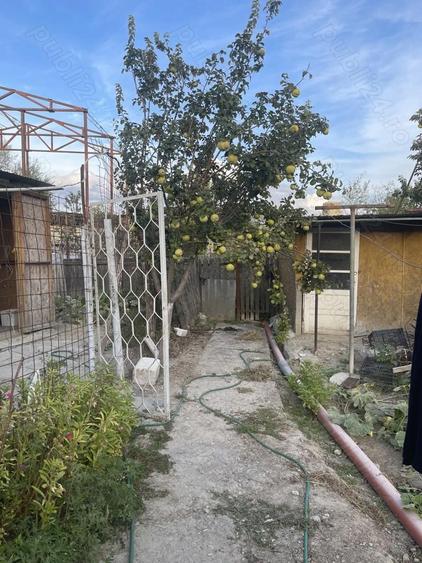 Casa + teren 610 mp Tulcea, Str. Orizontului utilita?i complete - 4