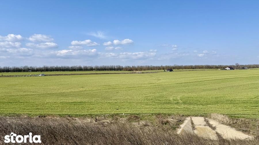 Avans 500 euro - Teren de investitie la Mare! Statiunea Costinesti 444 - 3