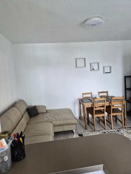 Berceni , Emil Racovita - 4