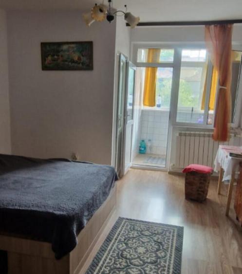 PACII- GARSONIERA CONFORT 1 ,ETAJ 3 - 1