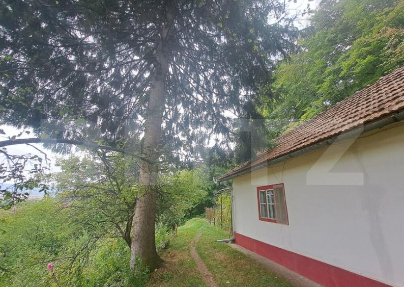 Casa de vanzare Colonia 1 Mai 75.000 EURO - 10