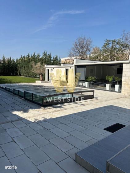Vila impresionanta de vanzare, zona Lunei - 3