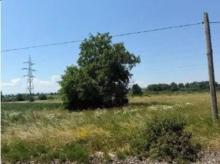 Teren Horodnic de Sus, cota parte 25/104, ID: R2660174 - 5