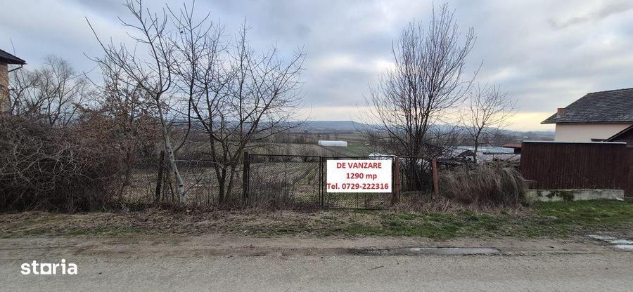 Teren de vanzare, 1290 mp, Coltau Maramures - 6