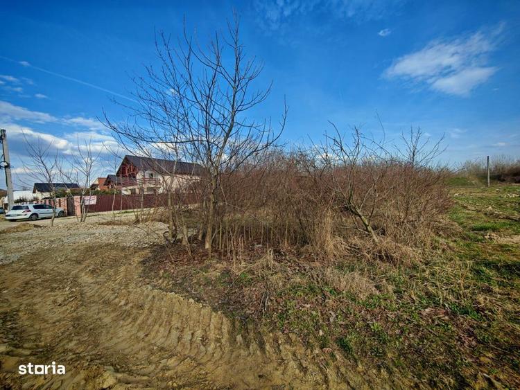 Teren intravilan 2273 mp in Pitesti, str. Mateias, iesire spre Campulu - 4