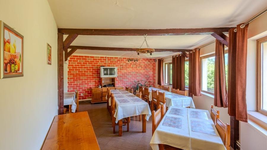 Hotel / Pensiune cu 10 camere de vanzare/Vama Buzaului - 7