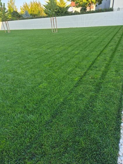 Locuinta individuala cu teren de 1000mp - 6