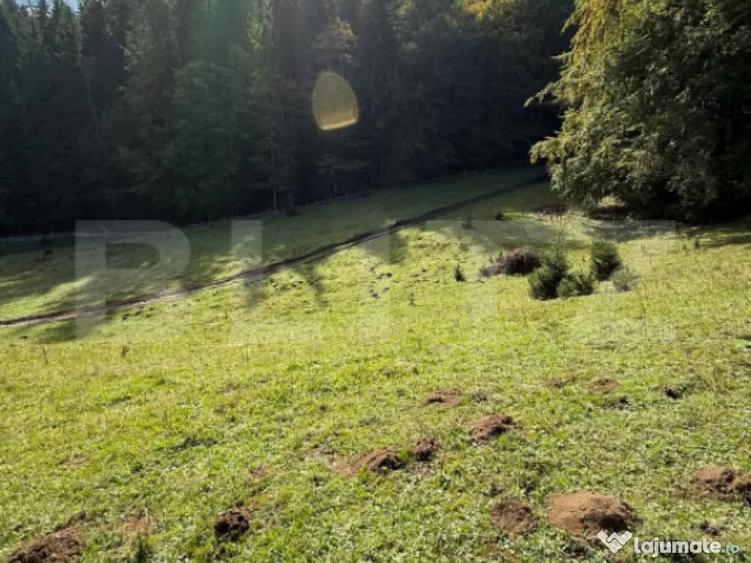 Teren intravilan 28 Ari zona Colibita - 5