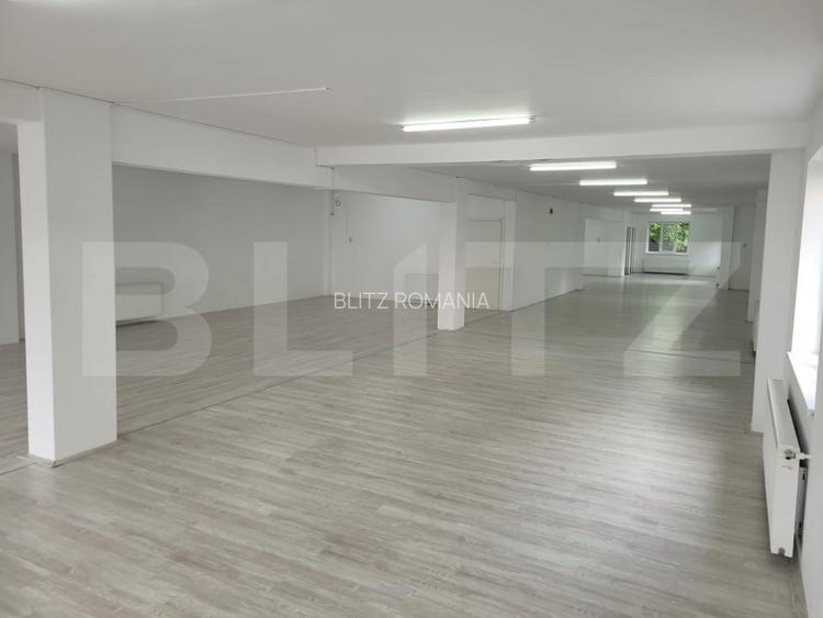 Spatiu comercial, 250 mp, zona Someseni