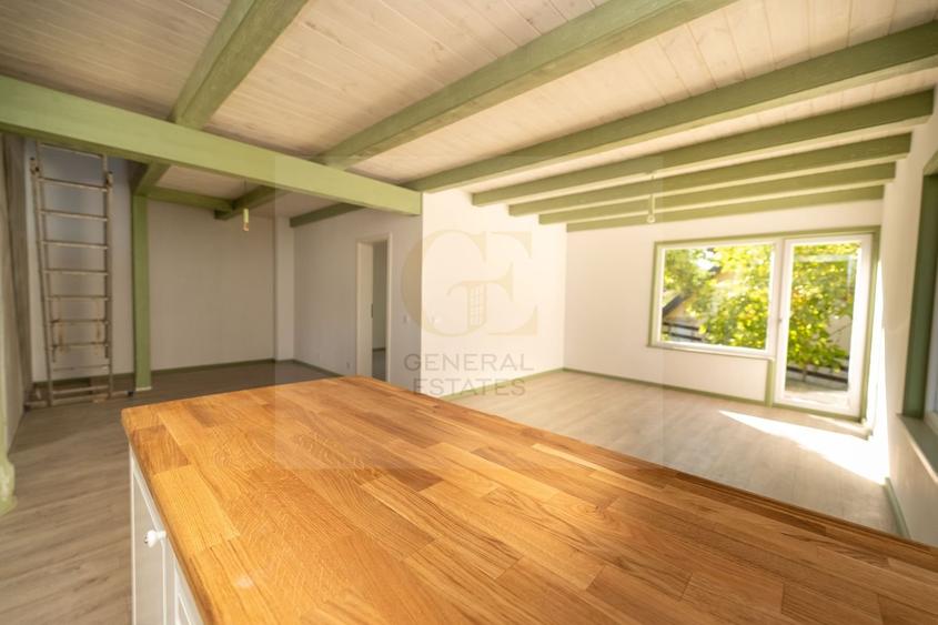 Casa de vacanță din Tohănița &acirc; locul unde muntele &icirc;nt&acirc;lnește liniștea - 1