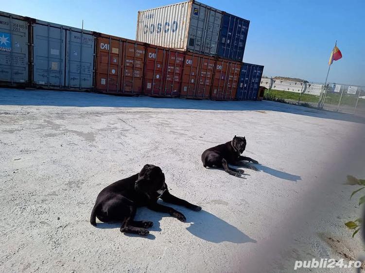 Inchiriere Spatii Depozitare in Containere Maritime - 2