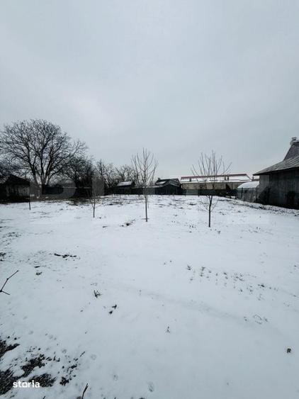 Refugiu la tara: casa traditionala , teren generos, si intimitate Cos - 5