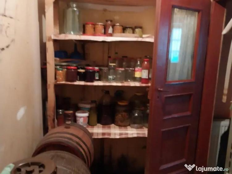 Vila 7 camere, 200 mp, zona Maneciu Pamanteni - 1