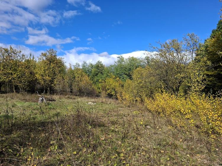 Sat Faget, Com. Drajna, jud. Prahova - comision 0%! - 16