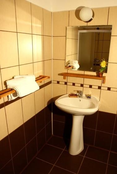 Oferta Etaj, Mansarda, Demisol -Vila deosebita pe Valea Prahovei -Busteni - 5