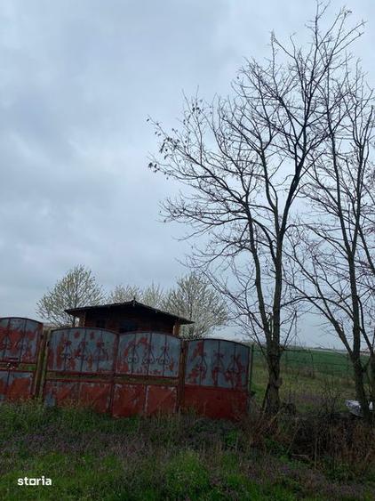 Vanzare teren intravilan Lazuri - 8