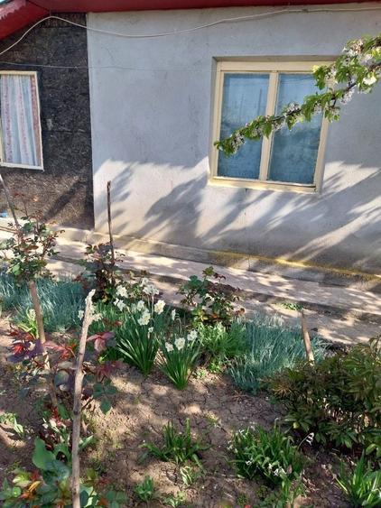 Vand casa ( teren 2.000 mp) in sat Pietrele, jud. Giurgiu - 3