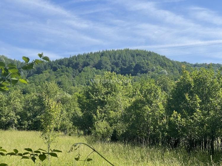 Teren Premium 1559 mp, Brebu Manastirei - Refugiu Montan la 120 km de Bucuresti,