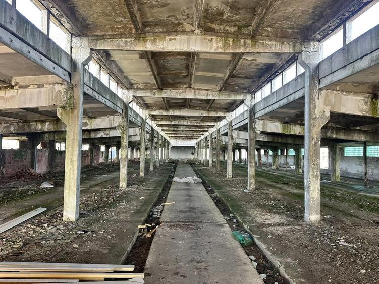 Ansamblu hale 4000mp pe teren 10.000 cu platforma betonata - 1