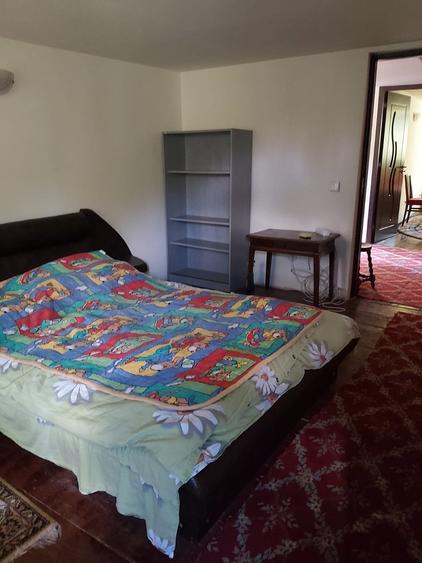 Casa de vacanta Timisu de Sus/Brasov/Oportunitate investitie - 3