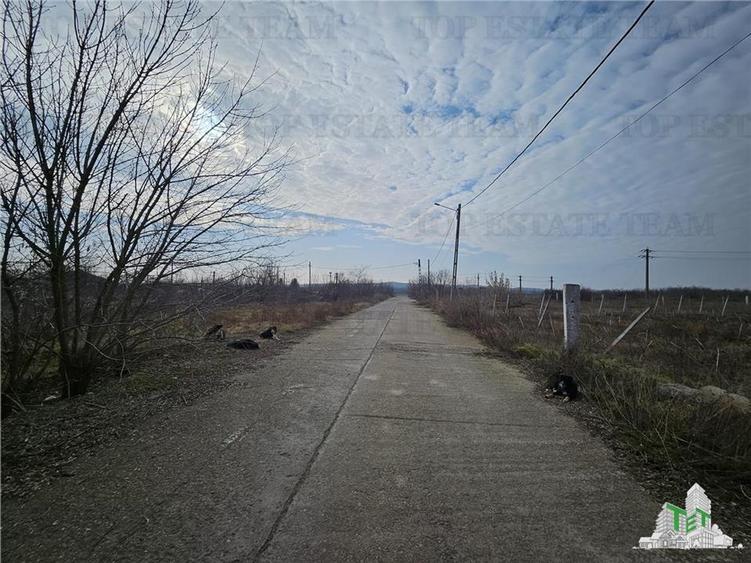 Teren intravilan Harsova - 3