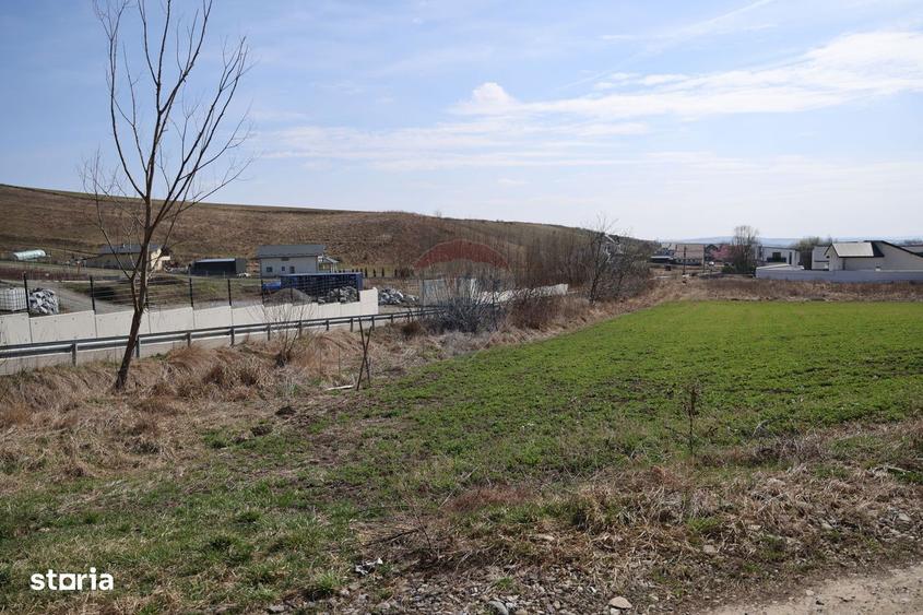 Teren 3,500mp Moara / Strada Pprincipala - 3