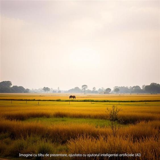 Teren industrial 4800 mp / DN1B  Zona showroom-uri auto / Deschidere 19 m - 3