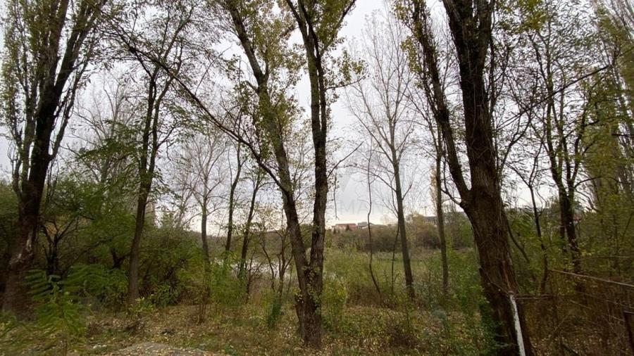 REC3000937 Bloc investitie zona Pipera - 4