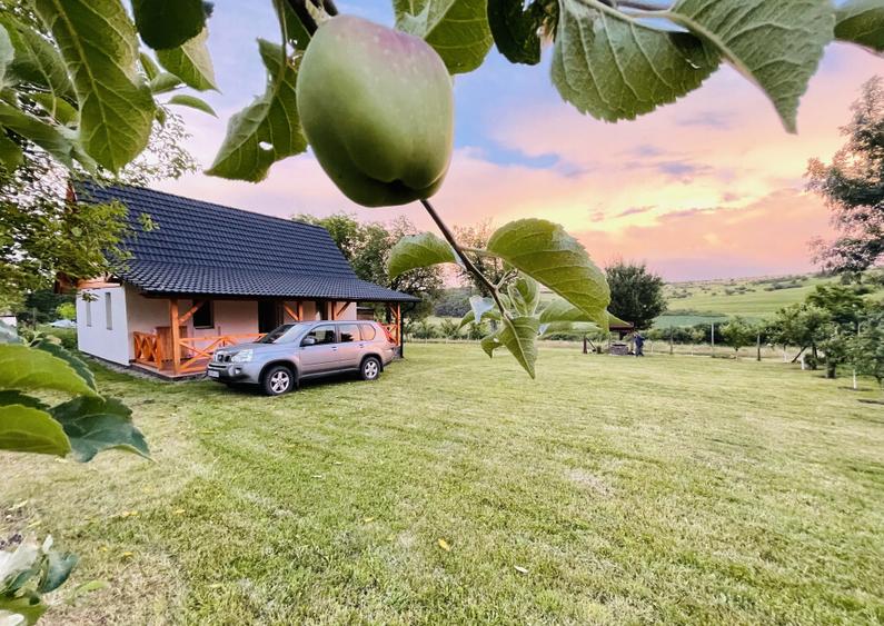 Cabana Pre? negociabil! Blaj, Alba - 2