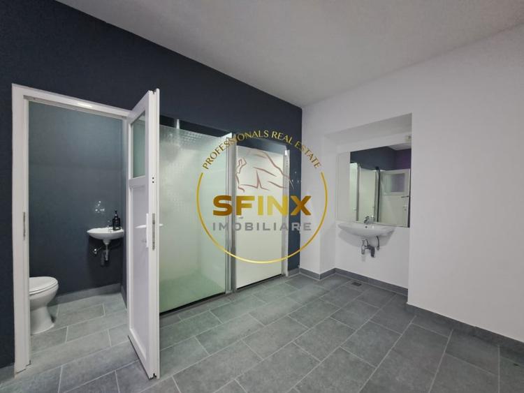 De inchiriat Spatiu Comercial Banu Manta - 8