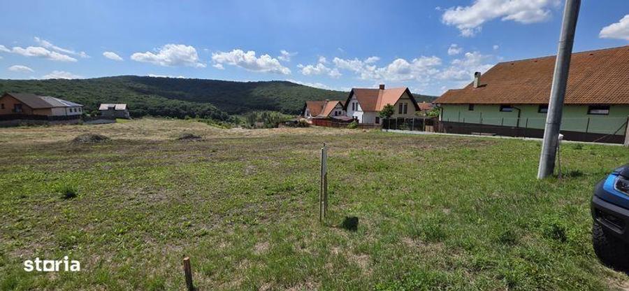 Teren intravilan cu PUZ,constructii,case in Corunca - 2