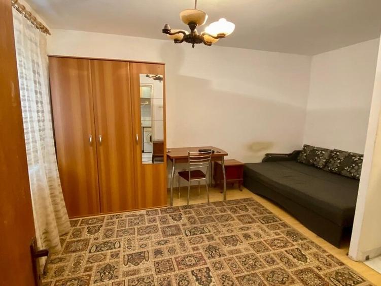 Lacul Tei, langa Facultatea de Constructii - 1