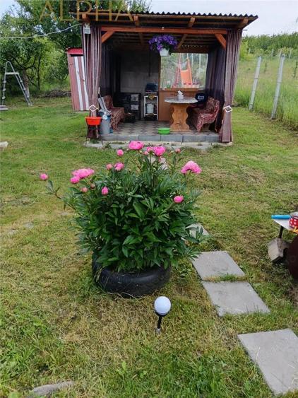 Casa spatioasa cu teren generos si anexe, cu posibilitate de schimb cu apartament 3 sau 4 camere - 7