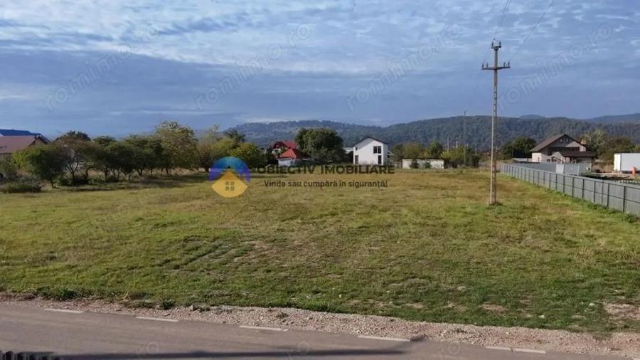 Teren de vanzare 1800 mp Dumbrava Ro?ie - 6