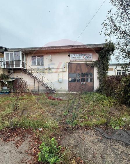 Hala - zona KAUFLAND Burdujeni - 4